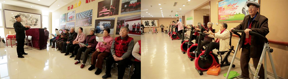 菲律宾环球国际360|主页