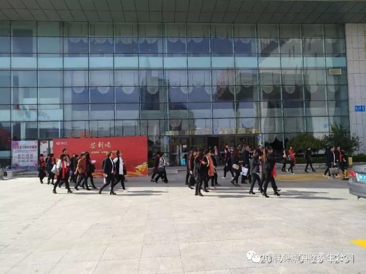 菲律宾环球国际360|主页