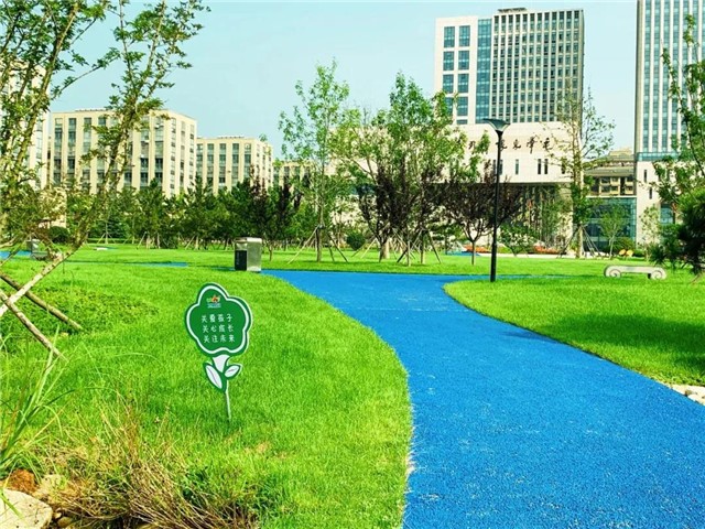 菲律宾环球国际360|主页