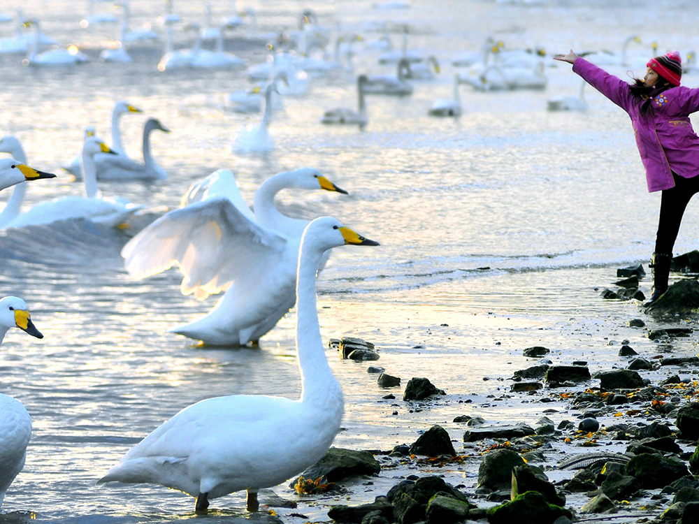 菲律宾环球国际360|主页