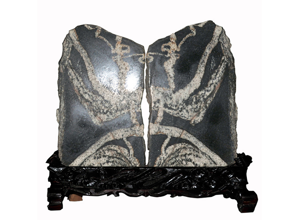 菲律宾环球国际360|主页