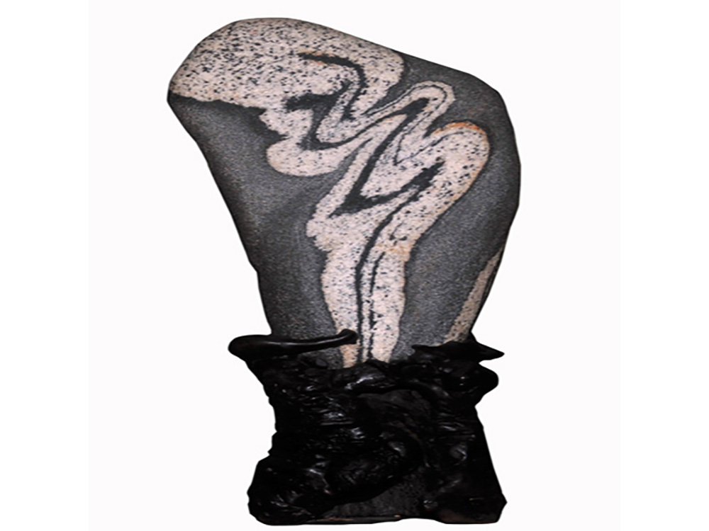 菲律宾环球国际360|主页